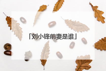 刘小锋前妻是谁