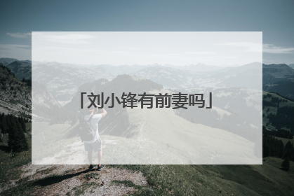 刘小锋有前妻吗