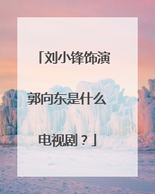 刘小锋饰演郭向东是什么电视剧?