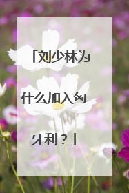 刘少林为什么加入匈牙利？