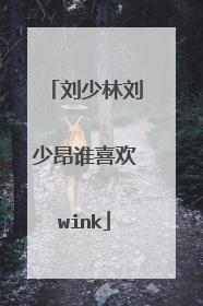 刘少林刘少昂谁喜欢wink