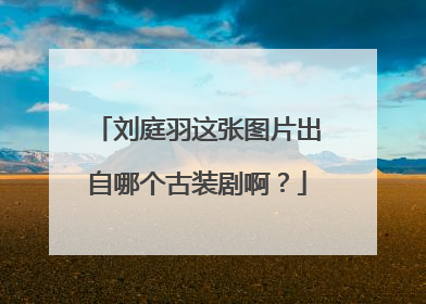 刘庭羽这张图片出自哪个古装剧啊？
