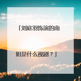 刘庭羽饰演的南姐是什么视剧?