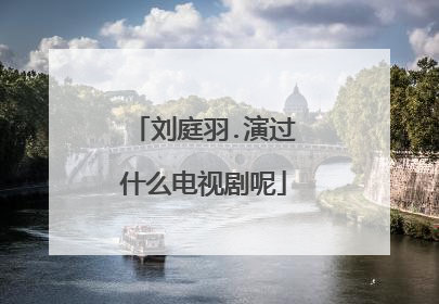 刘庭羽.演过什么电视剧呢