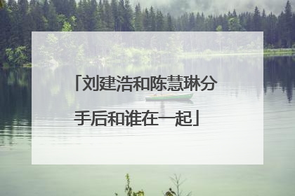 刘建浩和陈慧琳分手后和谁在一起