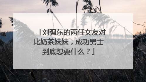 刘强东的两任女友对比奶茶妹妹，成功男士到底想要什么？