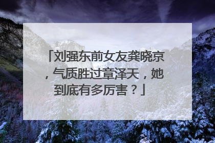 刘强东前女友龚晓京,气质胜过章泽天,她到底有多厉害?