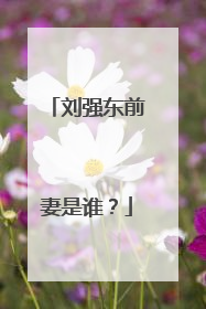 刘强东前妻是谁？