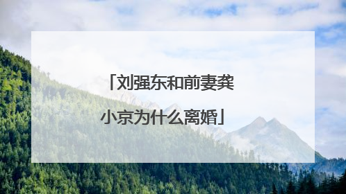 刘强东和前妻龚小京为什么离婚