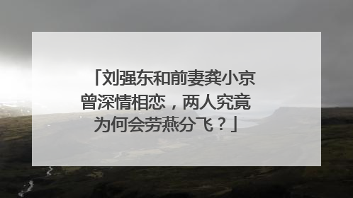 刘强东和前妻龚小京曾深情相恋，两人究竟为何会劳燕分飞？