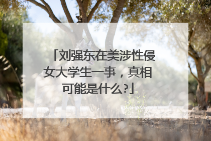 刘强东在美涉性侵女大学生一事，真相可能是什么?