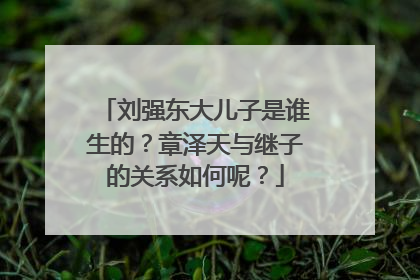 刘强东大儿子是谁生的？章泽天与继子的关系如何呢？
