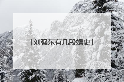 刘强东有几段婚史