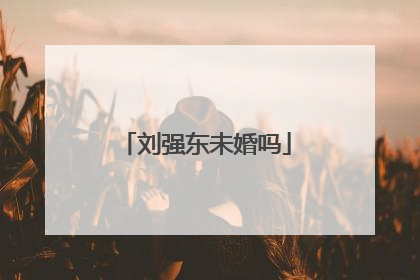 刘强东未婚吗