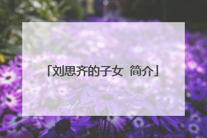 刘思齐的子女 简介