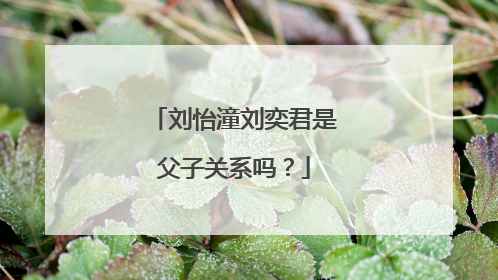 刘怡潼刘奕君是父子关系吗?