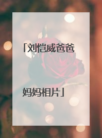 刘恺威爸爸妈妈相片