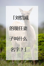 刘恺威的现任妻子叫什么名字?