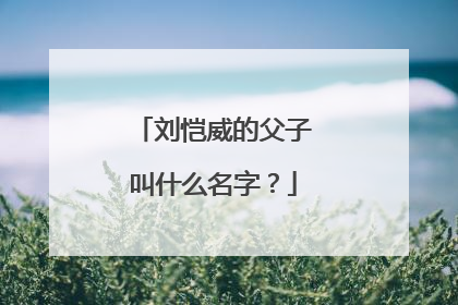 刘恺威的父子叫什么名字？