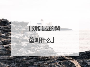 刘恺威的爸爸叫什么