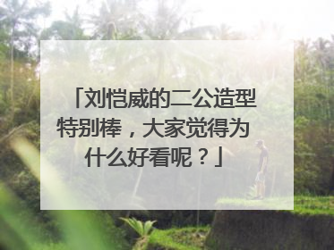刘恺威的二公造型特别棒,大家觉得为什么好看呢?