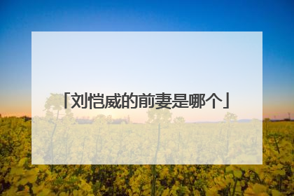 刘恺威的前妻是哪个