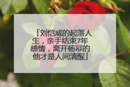 刘恺威的起落人生，亲手结束7年感情，离开杨幂的他才是人间清醒