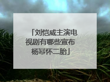 刘恺威主演电视剧有哪些宣布杨幂怀二胎
