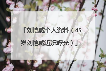 刘恺威个人资料（45岁刘恺威近况曝光）