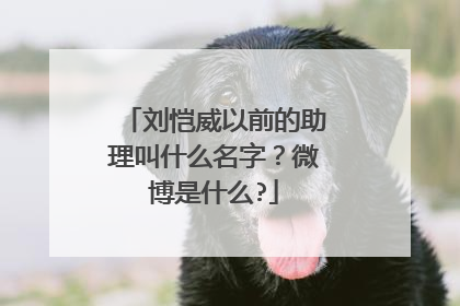 刘恺威以前的助理叫什么名字？微博是什么?