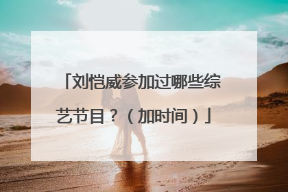 刘恺威参加过哪些综艺节目？（加时间）