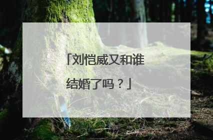 刘恺威又和谁结婚了吗?
