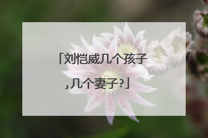 刘恺威几个孩子,几个妻子?