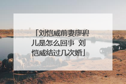 刘恺威前妻廖碧儿是怎么回事 刘恺威结过几次婚