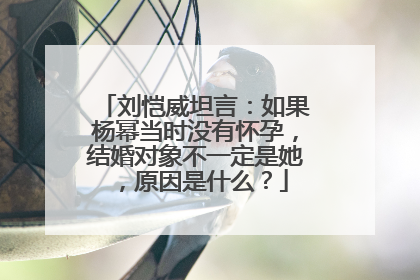 刘恺威坦言：如果杨幂当时没有怀孕，结婚对象不一定是她，原因是什么？
