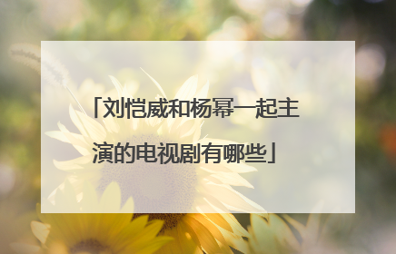 刘恺威和杨幂一起主演的电视剧有哪些