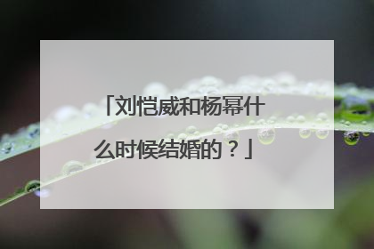 刘恺威和杨幂什么时候结婚的?