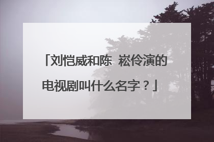 刘恺威和陈 崧伶演的电视剧叫什么名字？