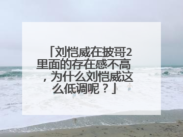 刘恺威在披哥2里面的存在感不高,为什么刘恺威这么低调呢?