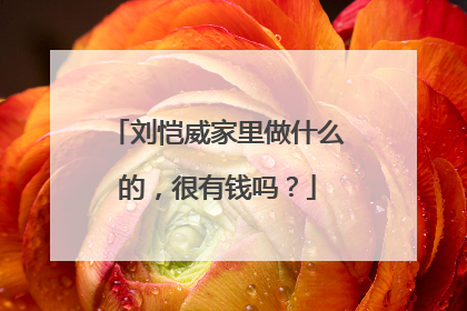 刘恺威家里做什么的，很有钱吗？