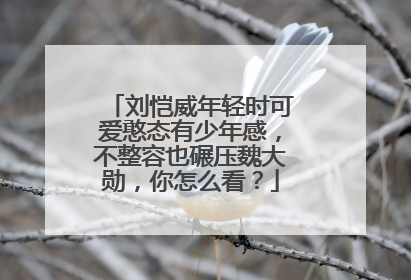 刘恺威年轻时可爱憨态有少年感，不整容也碾压魏大勋，你怎么看？