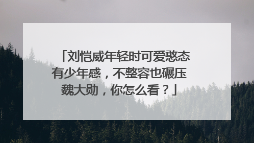刘恺威年轻时可爱憨态有少年感，不整容也碾压魏大勋，你怎么看？