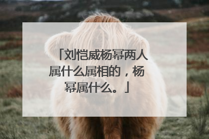 刘恺威杨幂两人属什么属相的,杨幂属什么。