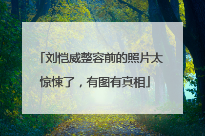 刘恺威整容前的照片太惊悚了，有图有真相