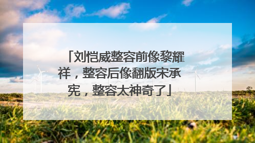 刘恺威整容前像黎耀祥,整容后像翻版宋承宪,整容太神奇了