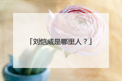 刘恺威是哪里人?