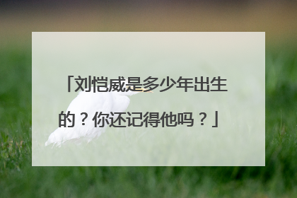刘恺威是多少年出生的？你还记得他吗？