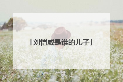 刘恺威是谁的儿子