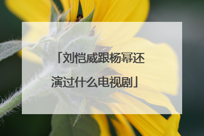 刘恺威跟杨幂还演过什么电视剧