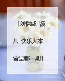 刘恺威 颖儿 快乐大本营是哪一期